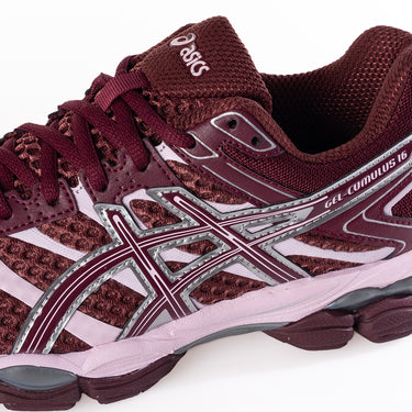 ASICS GEL CUMULUS 16 1203A733-600 PORT ROYAL PINK - Shoelosophy