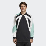 ADIDAS EQT 18 LONG SLEEVE TEE CD6844 SCHWARZ HI-RES GRÜN - Shoelosophy