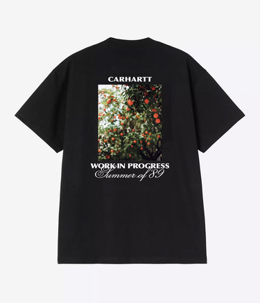 CARHARTT WIP WARM VIEWS T-SHIRT I036246 SCHWARZ - Shoelosophy